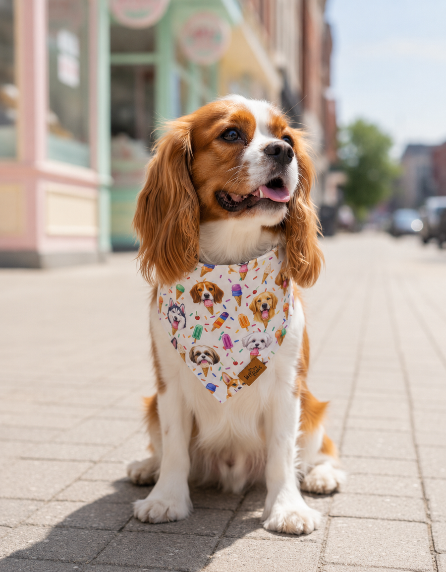 Cavalier King Charles Spaniel wearing the Scoops & Snoots reversible dog bandana in ivory