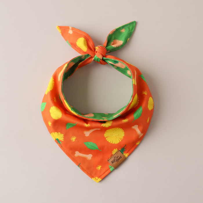Dreamy Walk reversible dog bandana, Tangerine side, tied flat lay