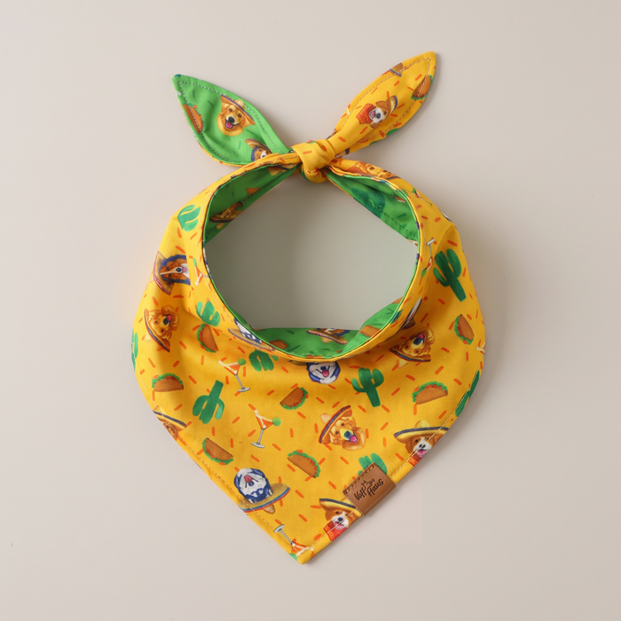 Fiesta Fur-Ever reversible dog bandana, Marigold side, tied flat lay