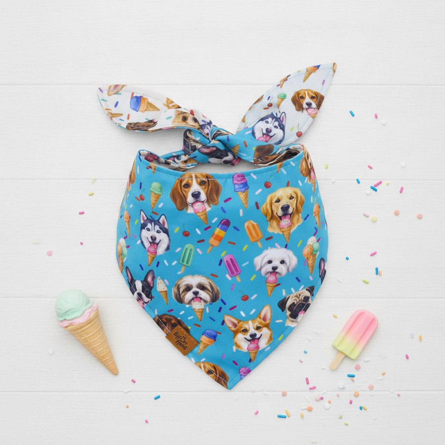 The Scoops & Snoots reversible dog bandana tied flat, sky blue side with dog faces and ice creams