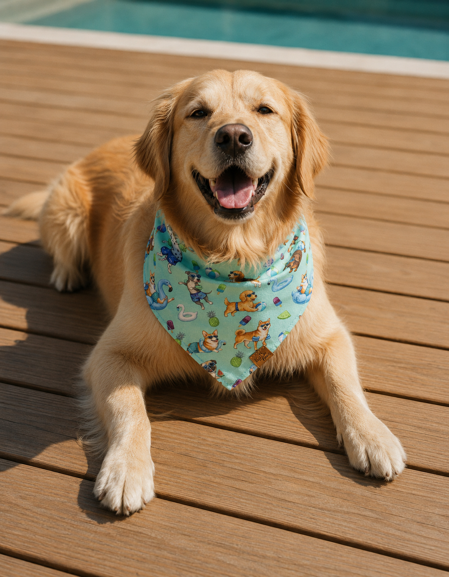 Golden Retriever lying on decking wearing the Endless Pawty reversible dog bandana in mint