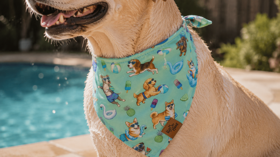 Pool Pawty · the detail