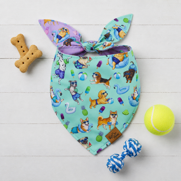 Endless Pawty Reversible Dog Bandana