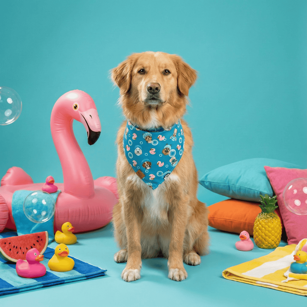 Bandana réversible pour chien Barky Ducky