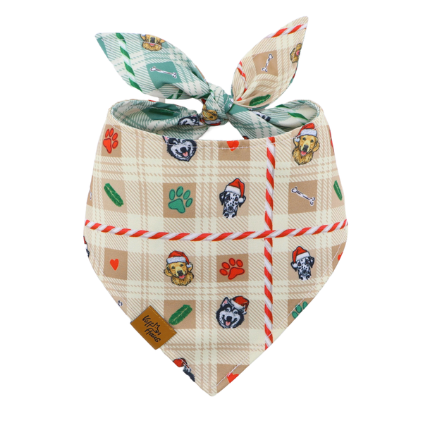 Candy Cane Tails Reversible Dog Bandana
