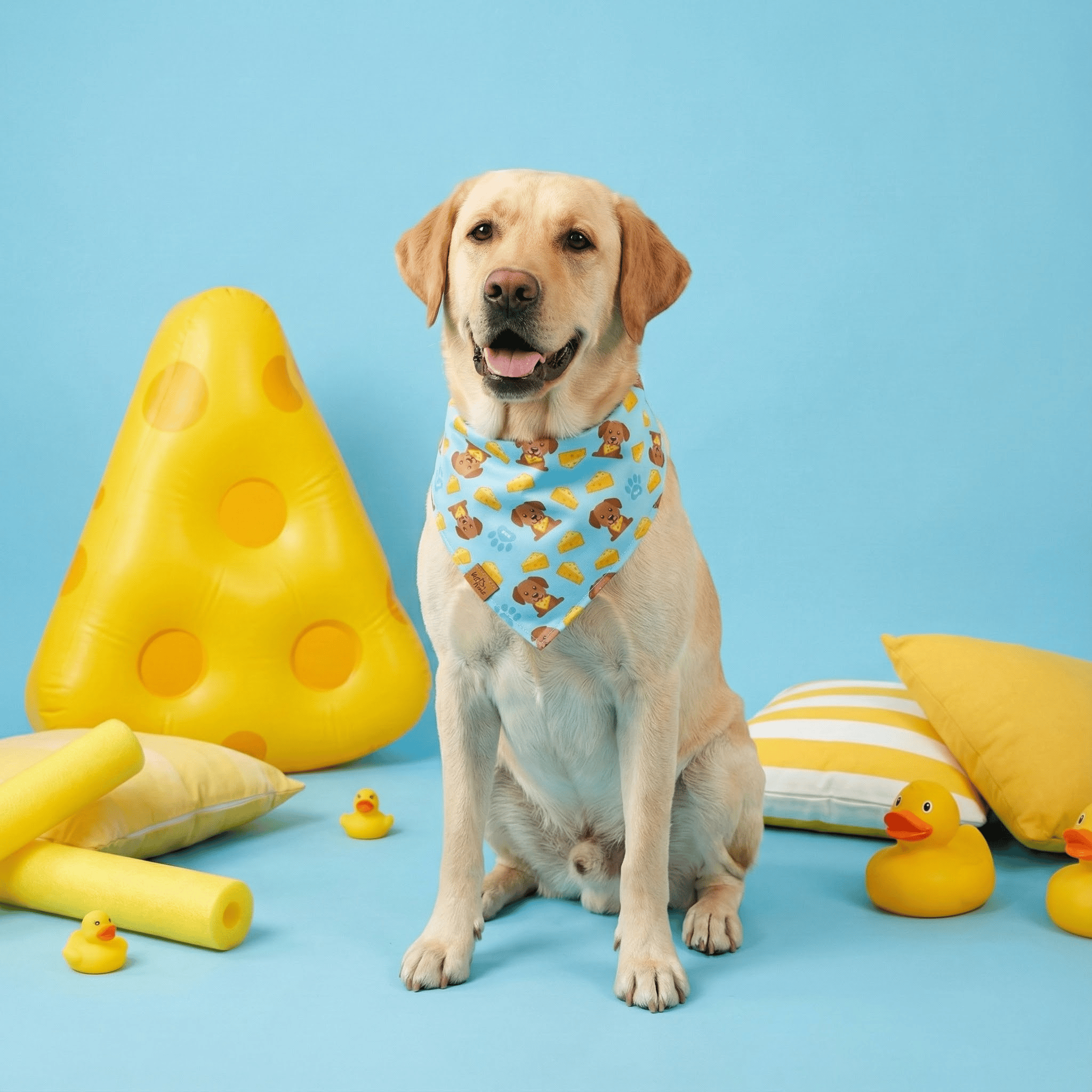 The Cheese Snatcher Reversible Dog Bandana