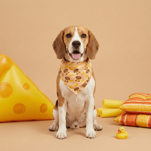 The Cheese Snatcher Reversible Dog Bandana