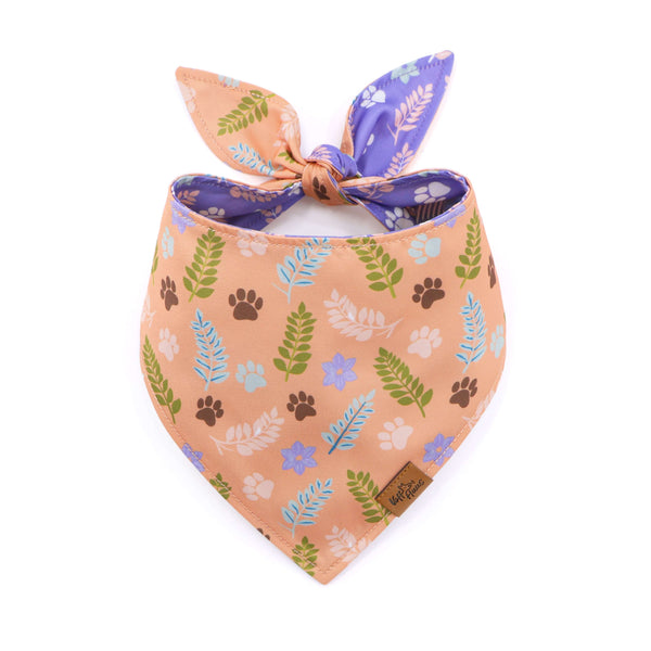 Dog bandana with floral and paw print pattern on a white background