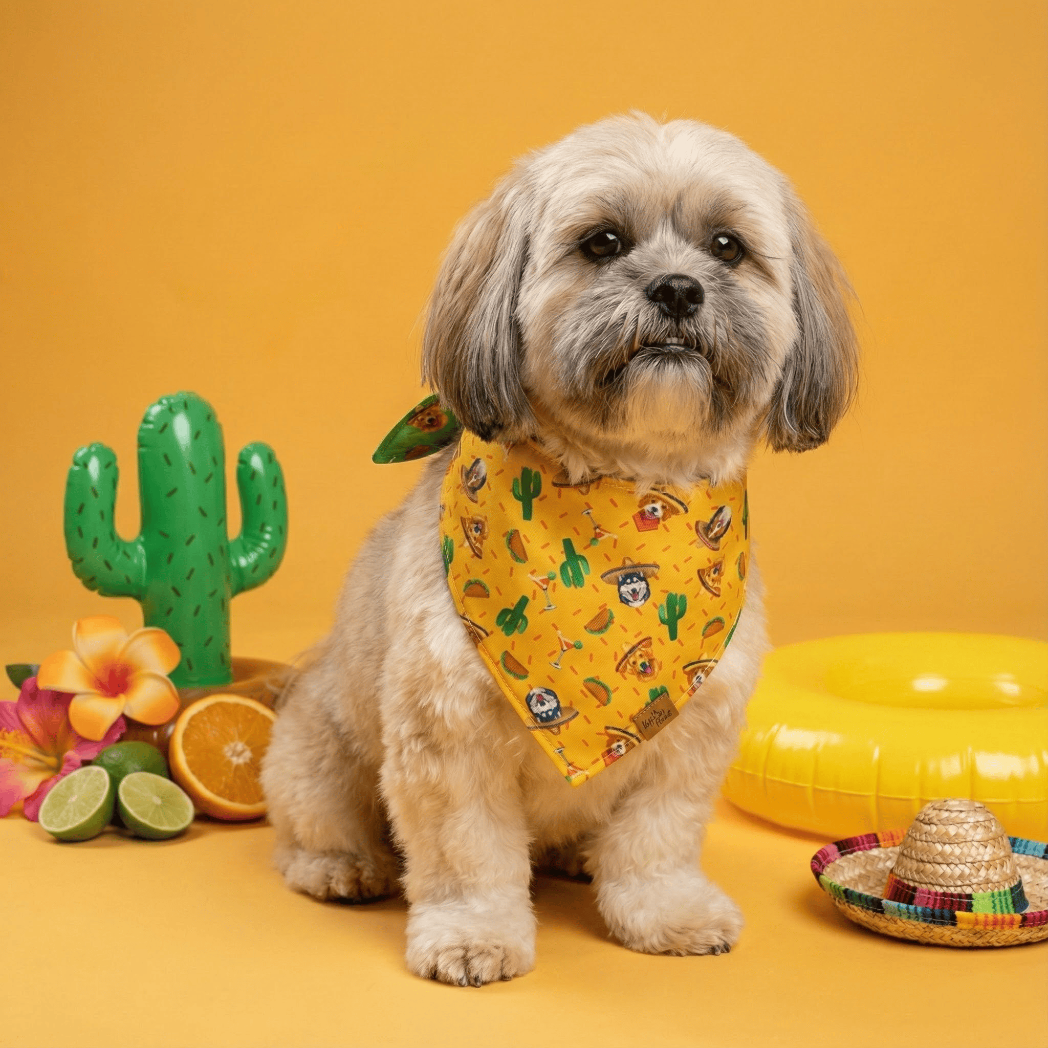 Fiesta Fur-Ever Reversible Dog Bandana