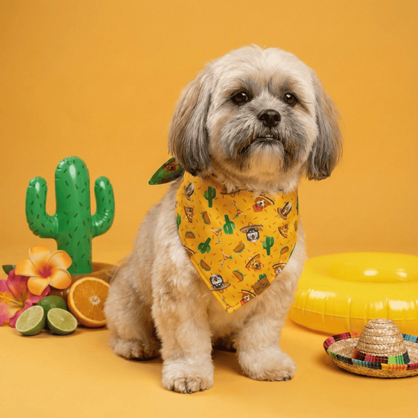 Fiesta Fur-Ever Reversible Dog Bandana