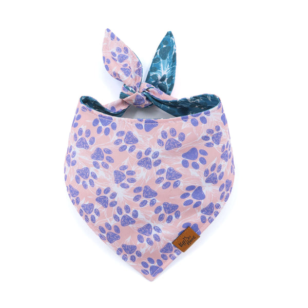 Dog bandana with purple paw prints on a pink background, tied in a knot.