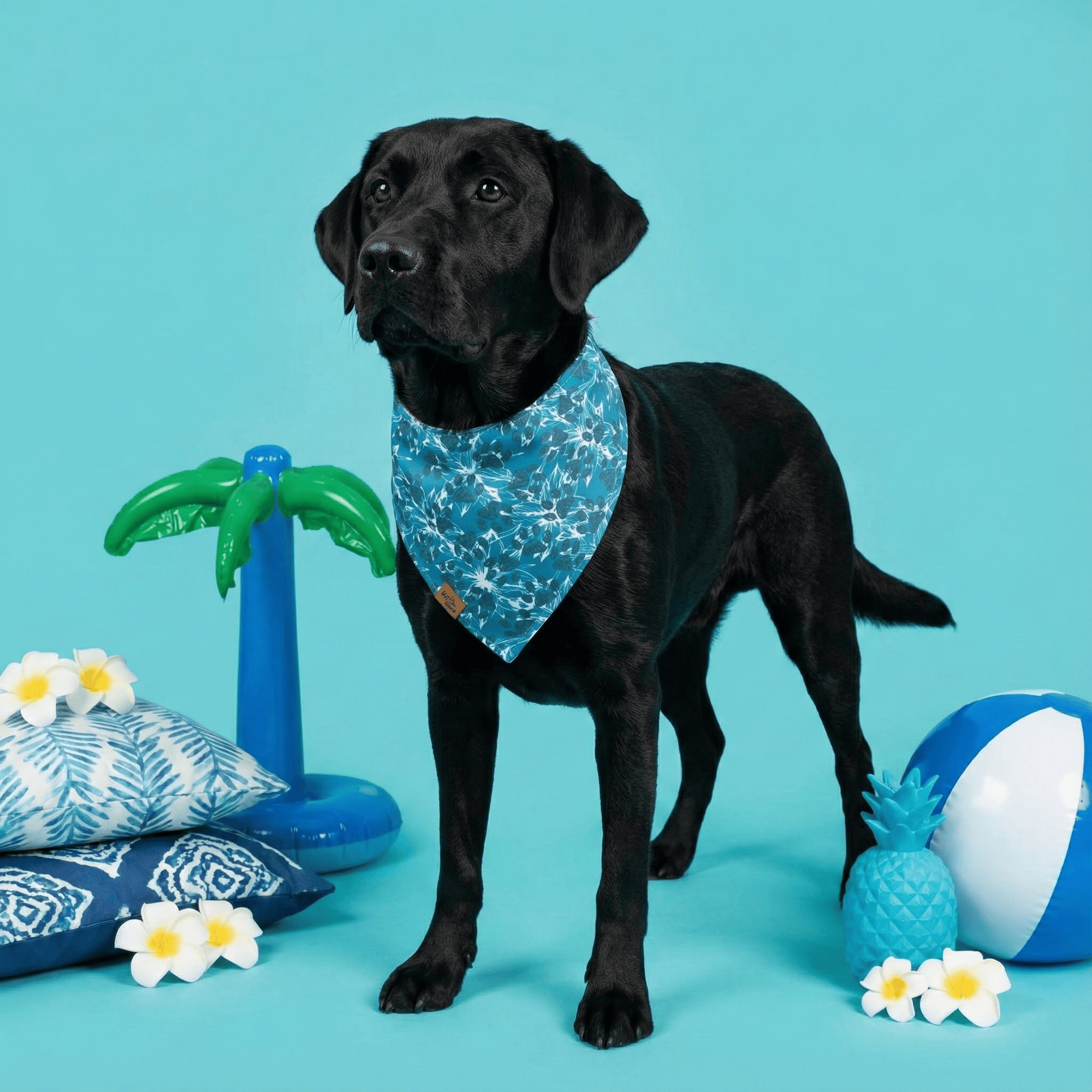Floral Paws Reversible Dog Bandana