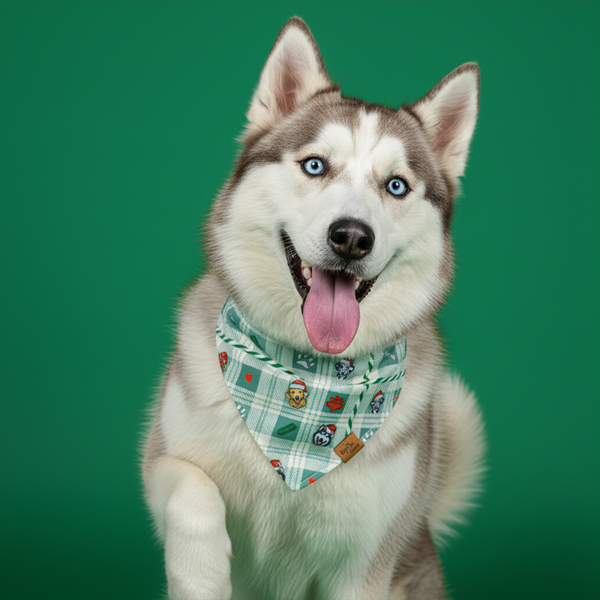 Candy Cane Tails Reversible Dog Bandana