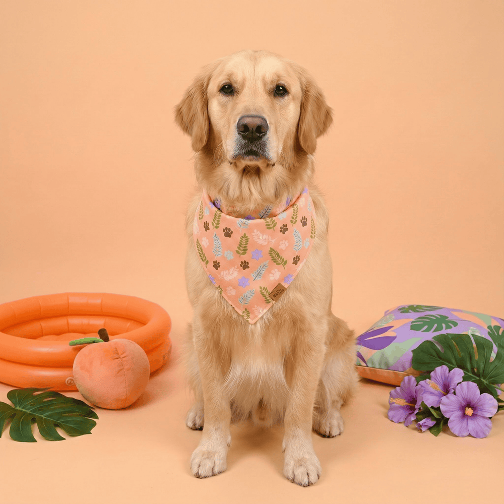 Bandana réversible pour chien Paw Blossoms
