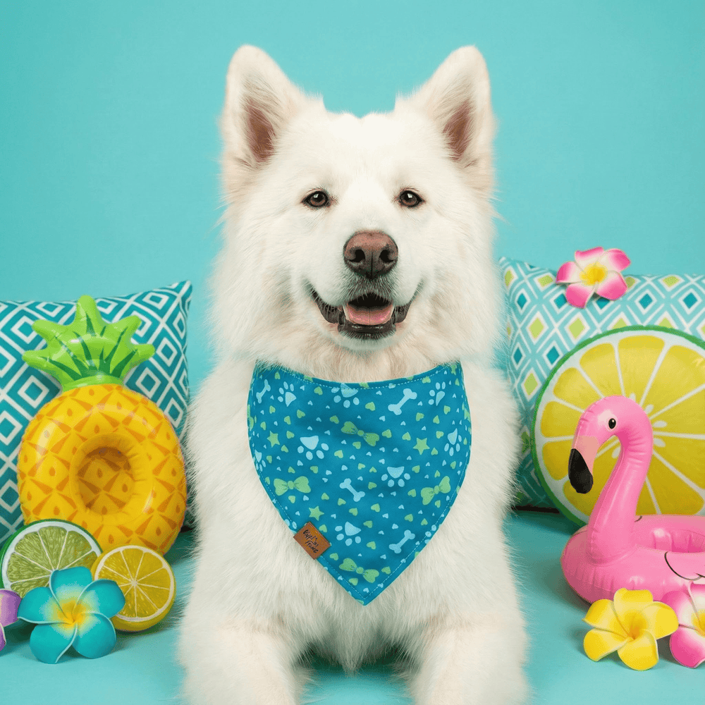 Bandana réversible pour chien Pawprints &amp; Love