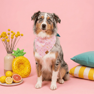 Pawprints & Love Reversible Dog Bandana