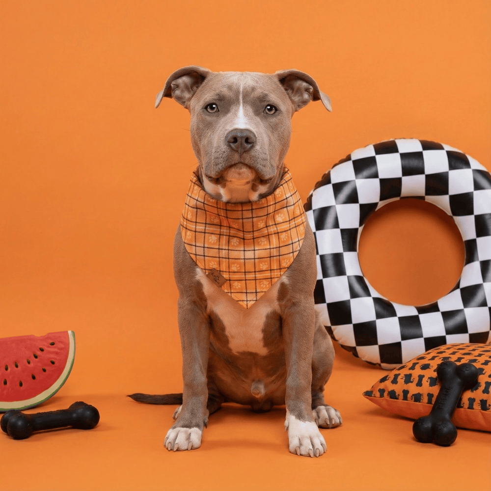 Bandana réversible pour chien Plaid Paws