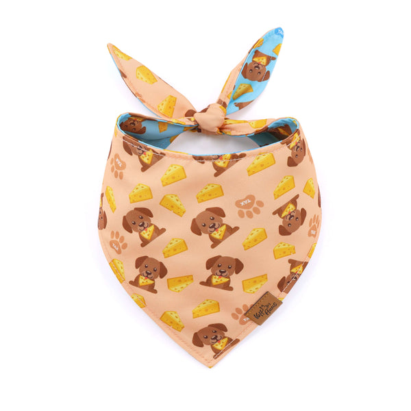 Dog bandana with cartoon dog and cheese pattern on a white background