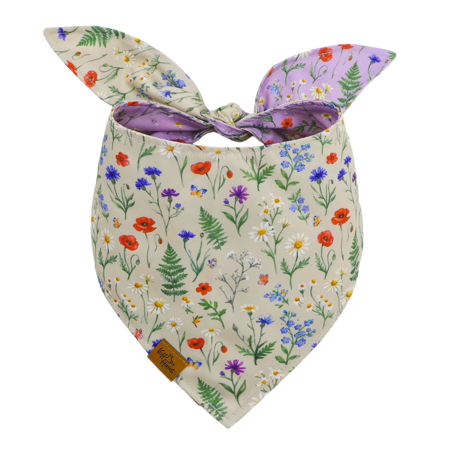 Bandana réversible pour chien Prairie sauvage, côté crème avec coquelicots, bleuets et marguerites