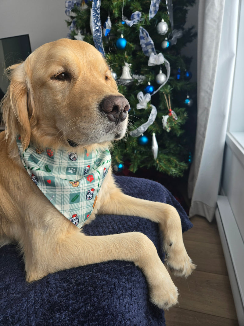 Golden Retriever beside a Christmas tree wearing a festive plaid Voff Haus dog bandana