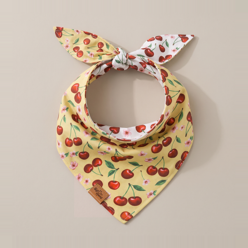 Cherry Pop reversible dog bandana, Butter Cherry side, tied flat lay