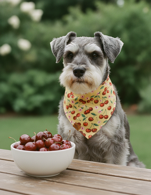 Cherry Pop Reversible Dog Bandana