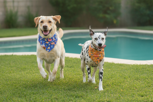 Pool Pawty Reversible Dog Bandana