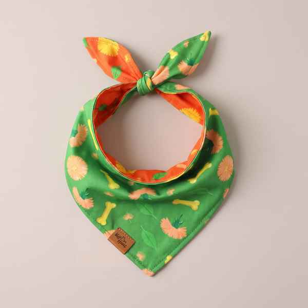 Dreamy Walk reversible dog bandana, Apple Green side, tied flat lay