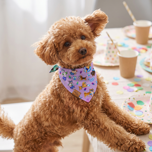 A dog wearing the Lilac side of the Endless Pawty bandana