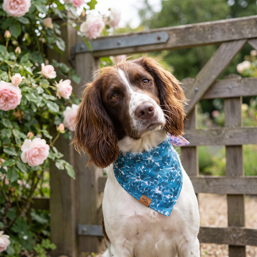 A dog wearing the Teal Bloom side