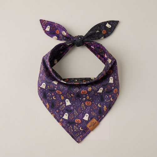 Barks After Dark reversible dog bandana, Twilight Plum side, tied flat lay