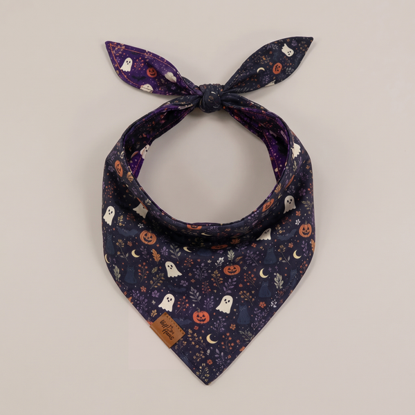Barks After Dark reversible dog bandana, Midnight Black side, tied flat lay