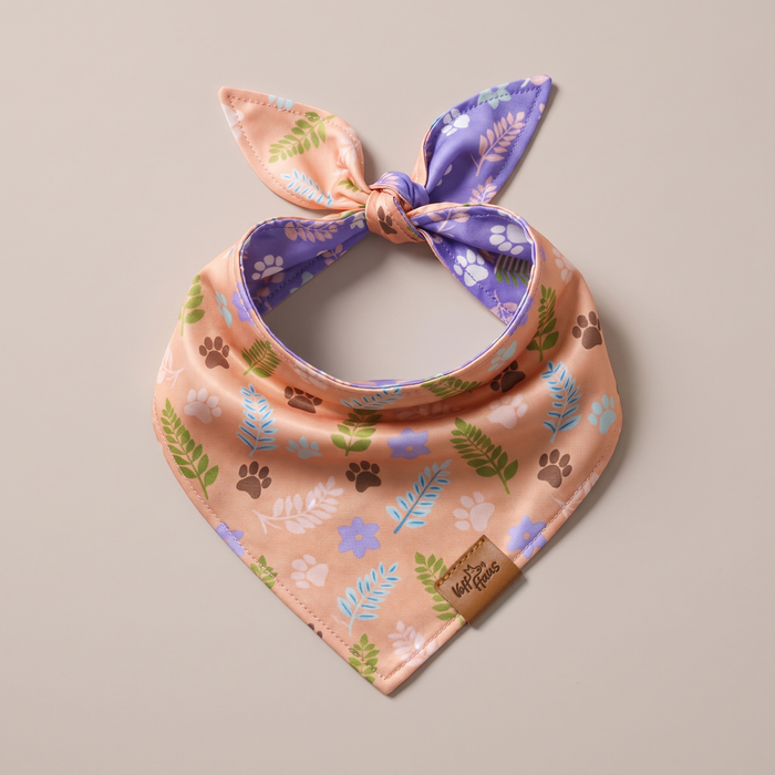 Paw Blossoms reversible dog bandana, Apricot side, tied flat lay