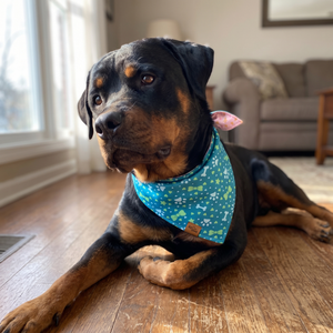 A dog wearing the Teal Paws side of the Pawprints & Love bandana