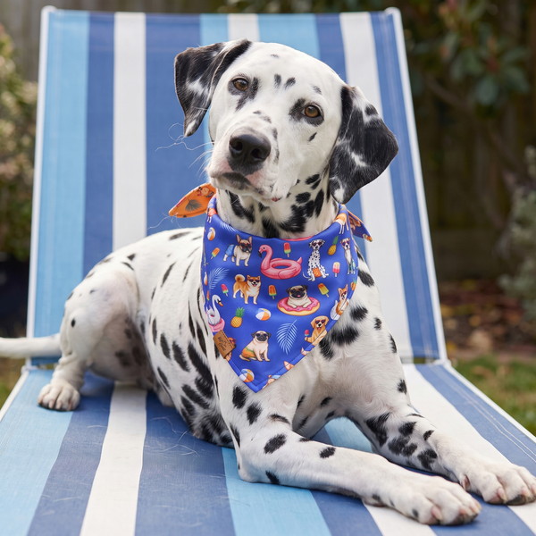 A dog wearing the Deep Blue side of the Pool Pawty bandana