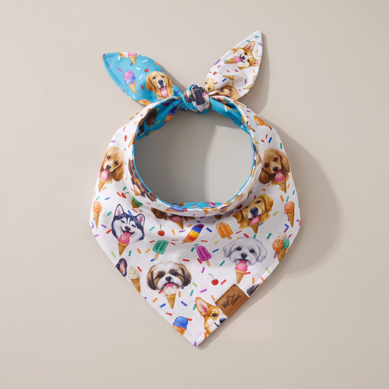 Scoops & Snoots reversible dog bandana, Cream Scoops side, tied flat lay