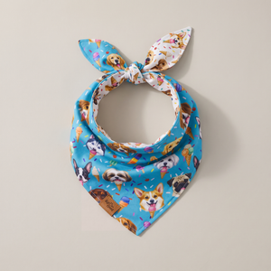 Scoops & Snoots reversible dog bandana, Sky Blue side, tied flat lay
