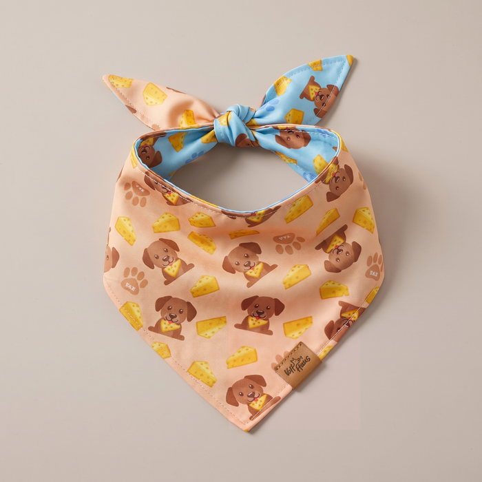 The Cheese Snatcher reversible dog bandana, Butter Yellow side, tied flat lay