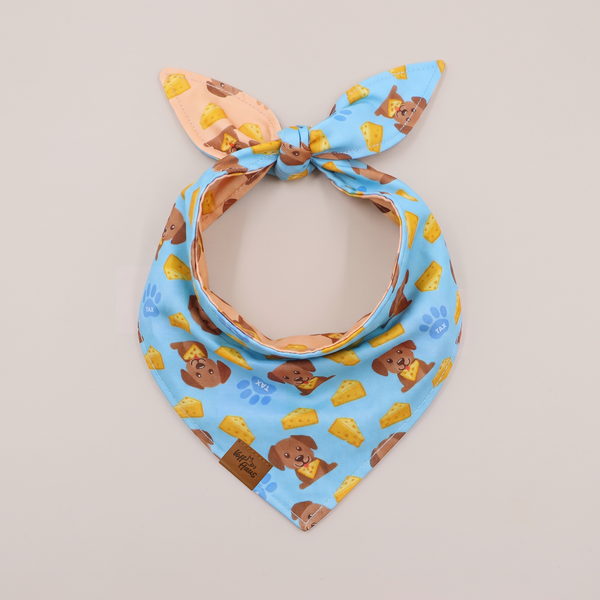 The Cheese Snatcher reversible dog bandana, Sky Blue side, tied flat lay
