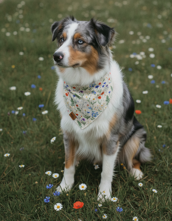 Wildflower Meadow Reversible Dog Bandana