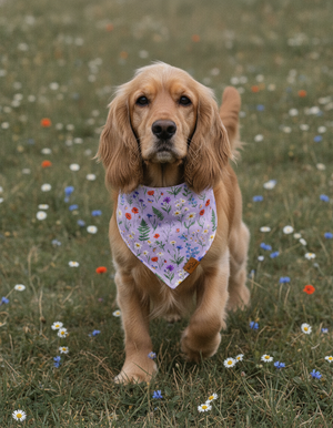 Wildflower Meadow Reversible Dog Bandana