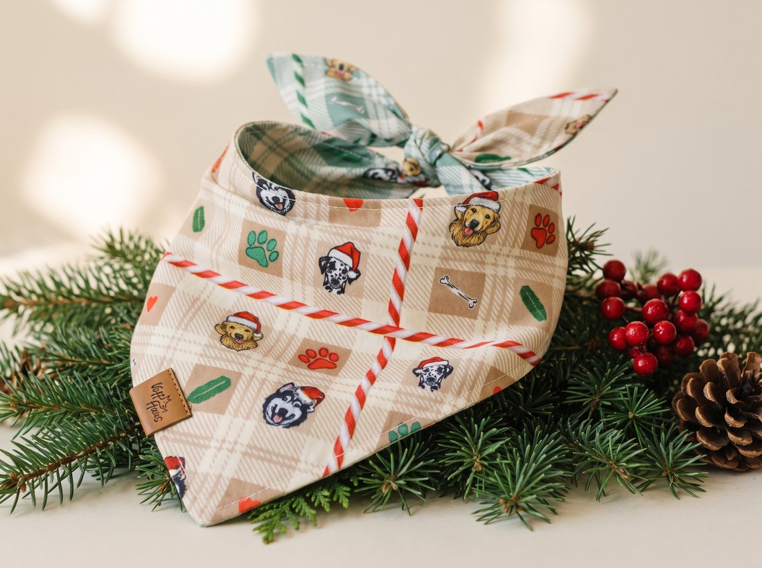 Candy Cane Tails Reversible Dog Bandana