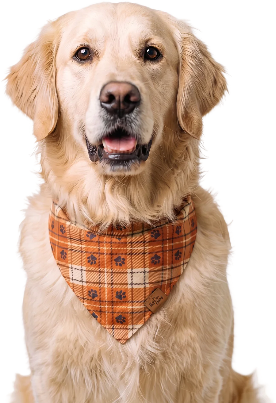 Un chien portant un bandana réversible Voff Haus