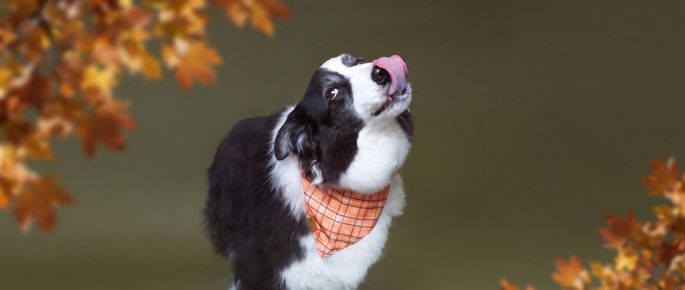 Breeze · Moss Campaign Photo