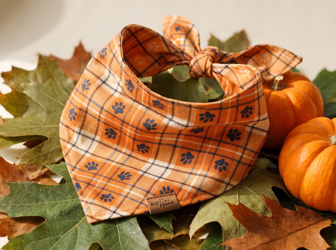Plaid Paws Reversible Dog Bandana
